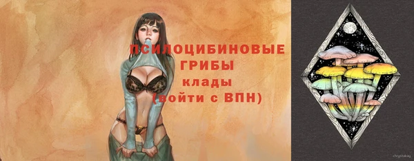 шишки Костерёво