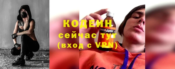 шишки Костерёво