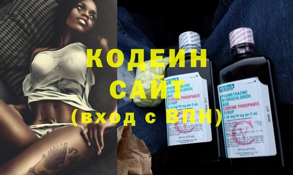 шишки Костерёво