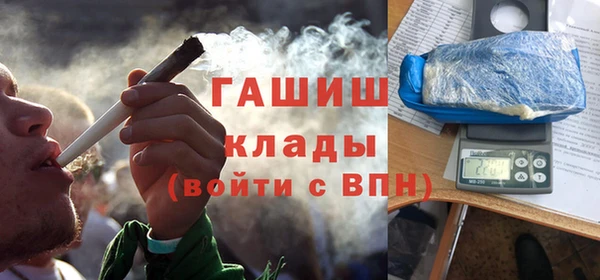 шишки Костерёво