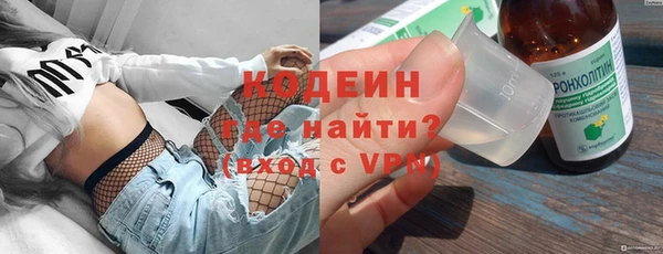 шишки Костерёво