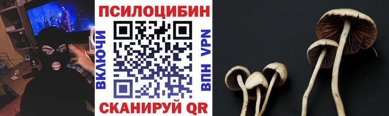 Галлюциногенные грибы Psilocybe  Купить  Инза 